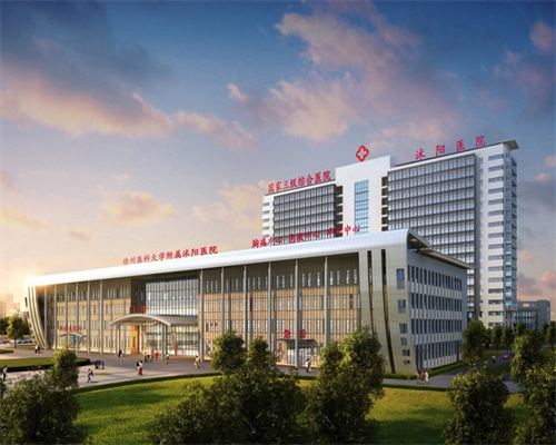 哪里能做代孕,三代试管代孕可以选择男孩吗还是女孩,喜欢撸猫的看这里!猫感